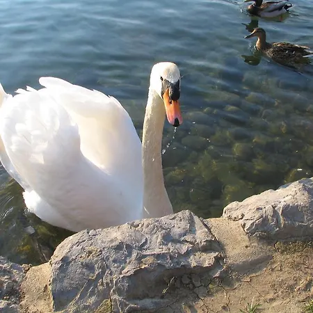 And Tavcar Vendégház 4*