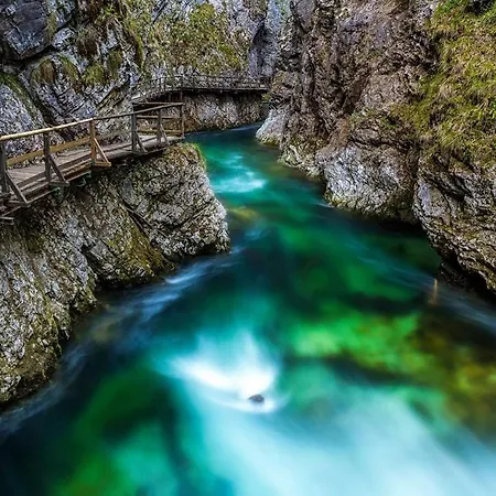 Gæstehus And Tavcar