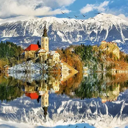 And Tavcar 4* Bled