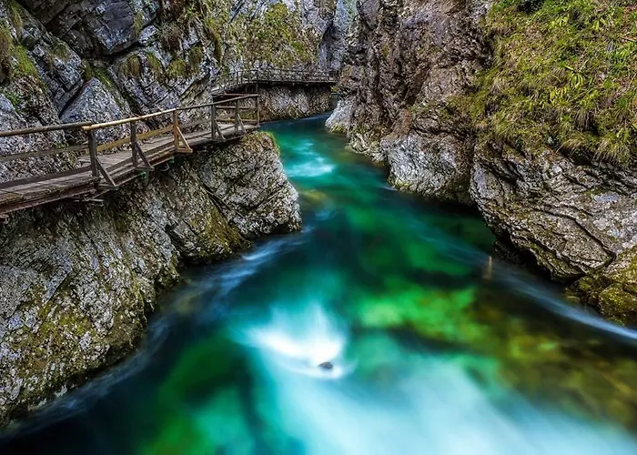 בית הארחה And Tavcar