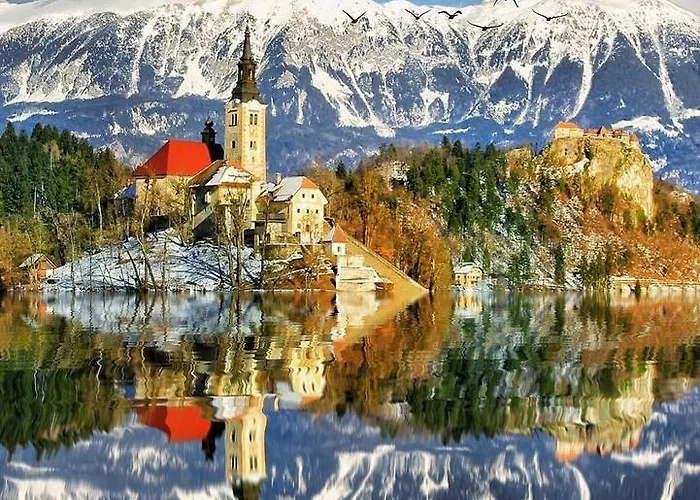 And Tavcar 4* בלד